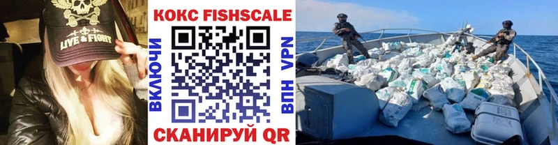 купить Гурьевск COCAIN Fish Scale