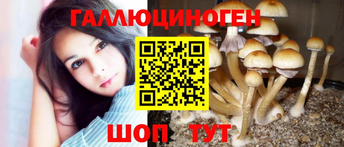 Гурьевск  Галлюциногенные грибы GOLDEN TEACHER  Вход с VPN 