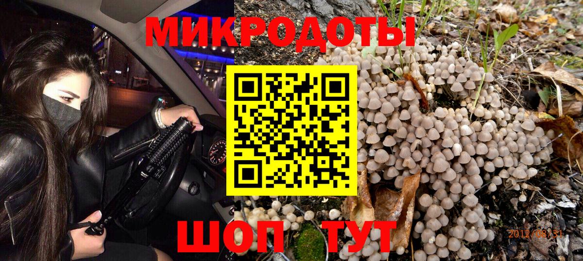 Галлюциногенные грибы MAGIC MUSHROOMS  Гурьевск 